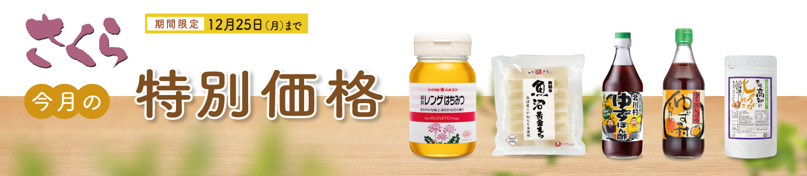 特集_特別価格_2311