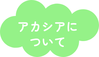 アカシアについて