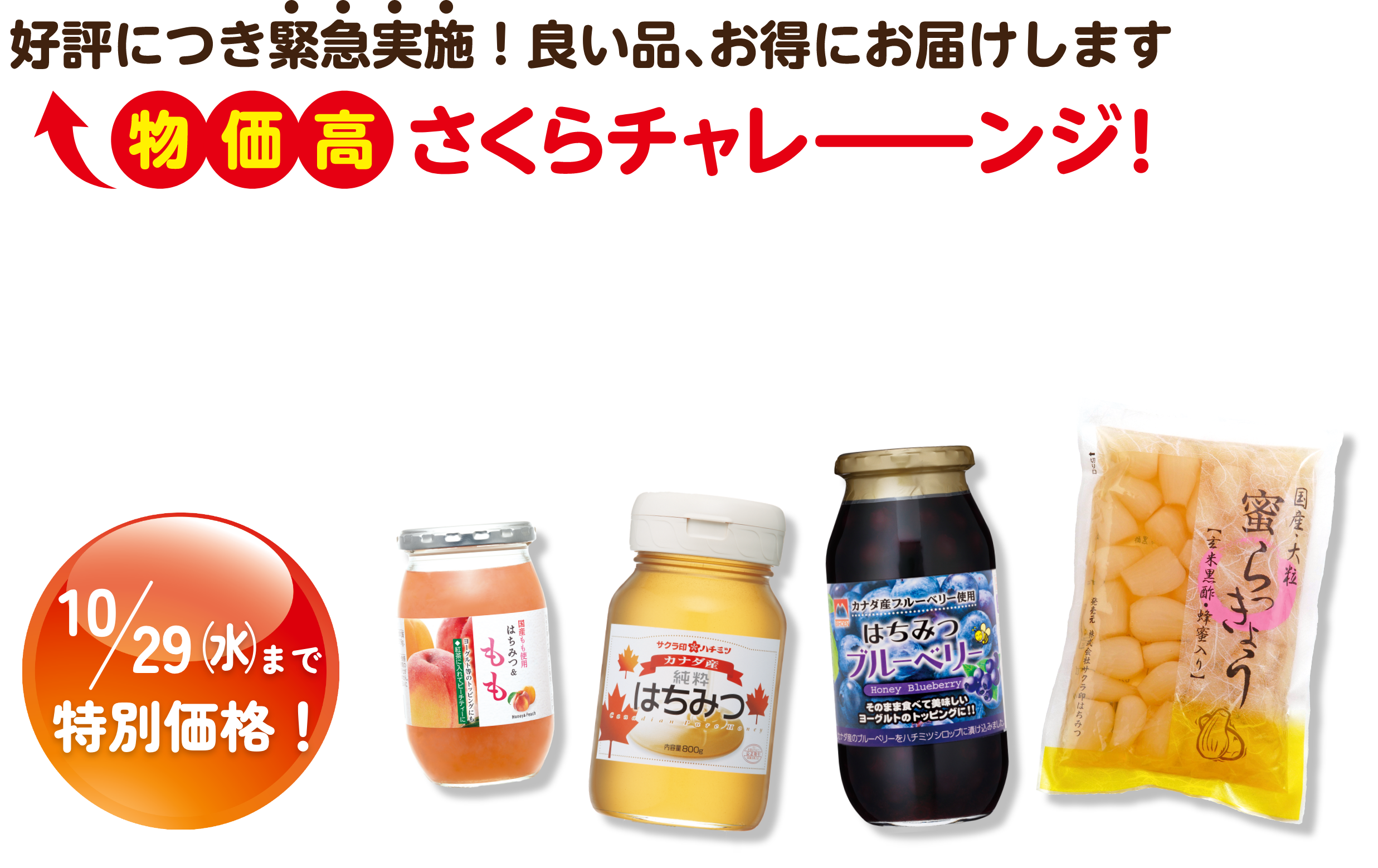 好評につき緊急実施！良い品、お得にお届けします。物価高さくらチェレーーーンジ！お財布応援キャンペーン第2弾！10/29(水)まで特別価格！